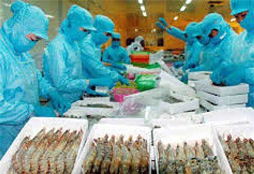 Xuất khẩu tôm vào các thị trường tăng mạnh