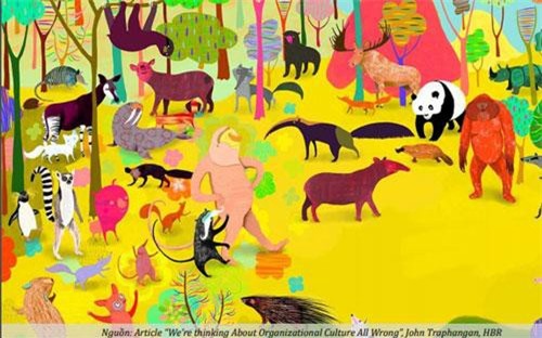 Muốn công ty ngày càng phát triển, một người quản trị phải biết được 8 dạng văn hóa trong doanh nghiệp này