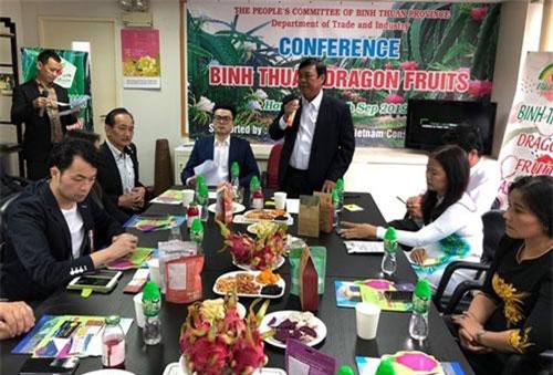 Xúc tiến tiêu thụ thanh long Bình Thuận tại thị trường Hồng Kông