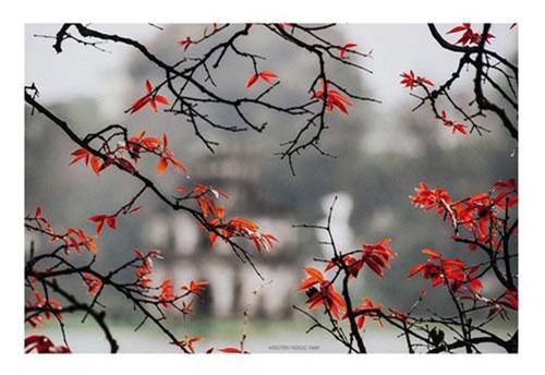 Hà Nội và các tỉnh miền Bắc sắp đón đợt se lạnh đầu tiên