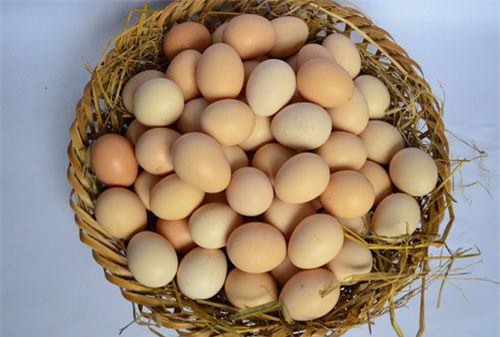 Người bán trứng không bao giờ nói với bạn: Tuyệt chiêu chọn trứng gà ta tươi ngon