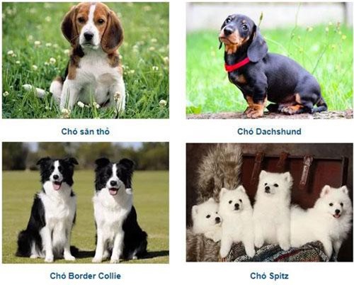 Trắc nghiệm: Điểm đáng mến ở bạn là gì?