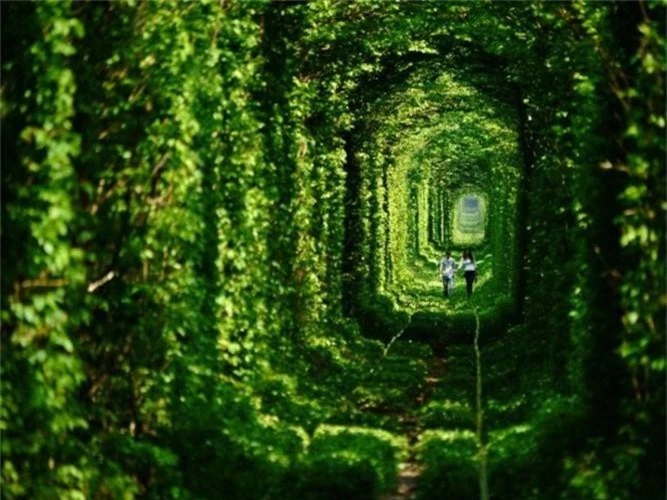 Ám ảnh vẻ ma mị của những vùng đất bị lãng quên - Hình 19 Am anh ve ma mi cua nhung vung dat bi lang quen-Hinh-19