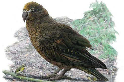 Sững sờ phiên bản “quái thú” cổ xưa của 4 sinh vật hiện đại