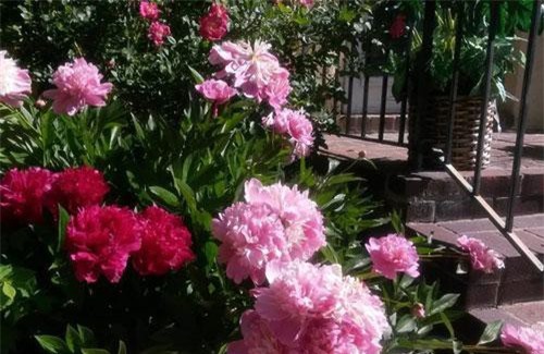 Mẹ chồng biết con ngoại tình vẫn lớn tiếng đe dọa tôi