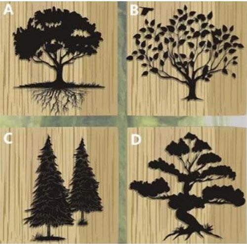 Trắc nghiệm: Ai sẽ là người đồng hành và đem may mắn cho bạn trong cuối năm nay?