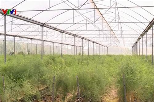 Ứng dụng công nghệ cao vào sản xuất nông nghiệp