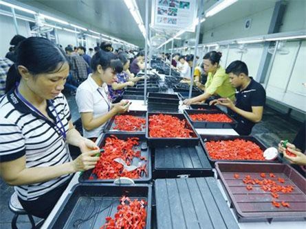 Nhiều doanh nghiệp phải khóc vì quy định vô lý