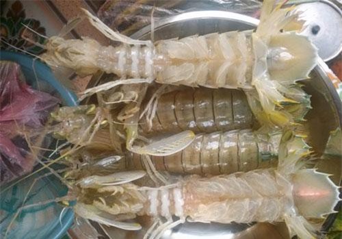 Luộc bề bề chỉ cần thả thêm thứ này, đảm bảo thịt ngon ngọt, lại tăng gấp 10 lần chất dinh dưỡng