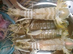 Luộc bề bề chỉ cần thả thêm thứ này, đảm bảo thịt ngon ngọt, lại tăng gấp 10 lần chất dinh dưỡng
