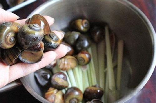 Những sai lầm chết người khi ăn ốc mà nhiều người mắc phải