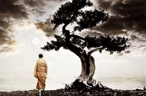 Cố nhân dạy: Sống ở đời có 3 việc bắt buộc phải học, nếu không sẽ chẳng thể khôn lên