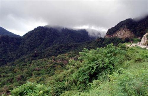 Chuyện ly kỳ về rắn khổng lồ nặng 300 - 400 kg chặn đầu xe khách ở An Giang