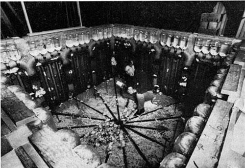 Kỳ lạ thí nghiệm xây dựng "xã hội không tưởng" cho chuột