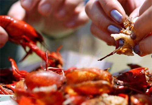  Ngồi tù đến 10 năm nếu ăn trộm tôm hùm đất.