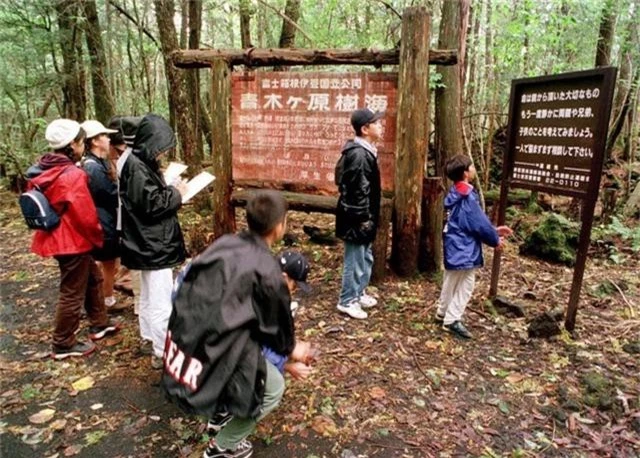 Ngay cổng khu rừng Aokigahara có bảng ghi chú “Cuộc sống là món quà quý giá” từ cha mẹ để khuyên những ai đến đây tự tử. Ảnh: Dân trí