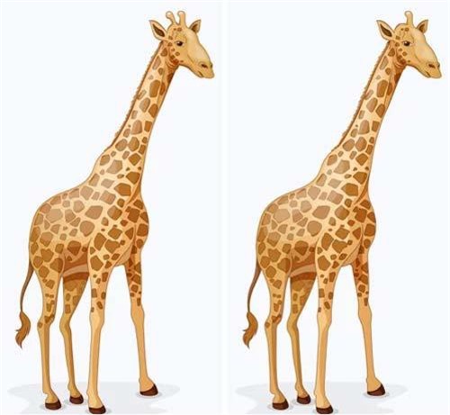 Câu đố đơn giản khiến nhiều người phải "chào thua"