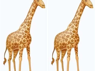 Câu đố đơn giản khiến nhiều người phải "chào thua"