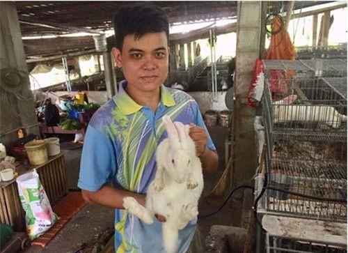 TP.HCM : Vớt lục bình trên sông nuôi thỏ, bỏ túi 60 triệu đồng/tháng