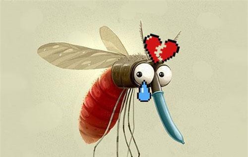 Dự án tận diệt loài muỗi thất bại vì muỗi cái không chịu "ân ái" với muỗi đực biến đổi gen