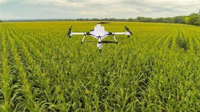 Gia nhập EVFTA: Nông dân phải là doanh nghiệp