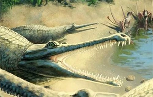 Loài cá sấu biển cổ đại có hàm răng đáng sợ.