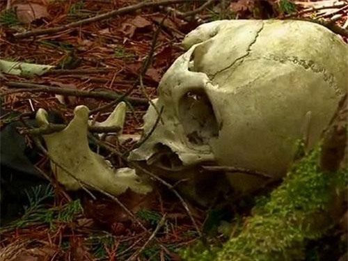 Bí ẩn lạnh người về khu rừng thu hút nhiều người đến tự tử ở Nhật Bản