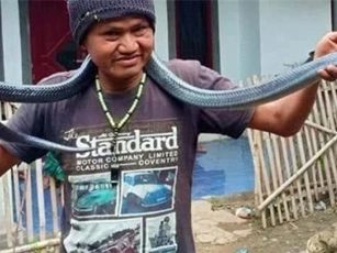 Tắm cho trăn cưng, chủ bất ngờ bị siết đến chết