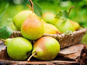 Thực phẩm giúp giảm cân, đẹp da