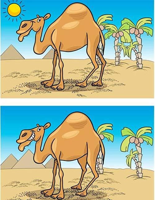 99% số người không tìm ra 6 chi tiết khác nhau trong bức tranh