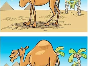 99% số người không tìm ra 6 chi tiết khác nhau trong bức tranh