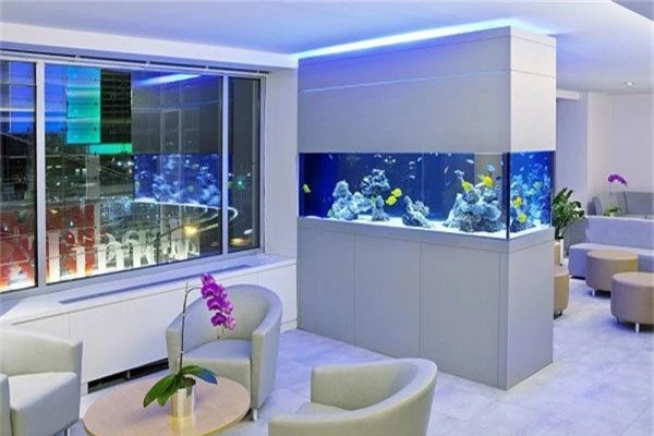 Bài trí nhà ở theo mẹo phong thủy sau, tài lộc tự nhiên đến, sinh sôi nảy nở không ngừng - Ảnh 5. Bài trí nhà ở theo mẹo phong thủy sau, tài lộc tự nhiên đến, sinh sôi nảy nở không ngừng - Ảnh 5.
