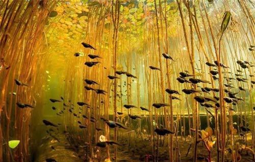 Ngỡ ngàng trước cảnh sắc tuyệt đẹp của thiên nhiên