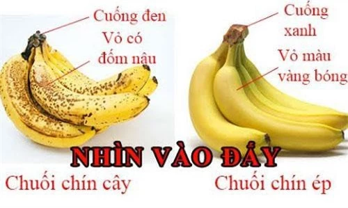 Nải chín tự nhiên sẽ chín đều cả cuống, thân quả chuối.