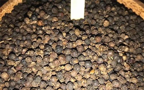 Giá hạt tiêu tiếp tục giảm