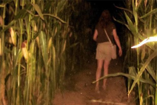 Con gái 16 tuổi thường xuyên lẻn ra ruộng ngô vào nửa đêm, bố mẹ theo dõi thì phát hiện sự thật đau lòng