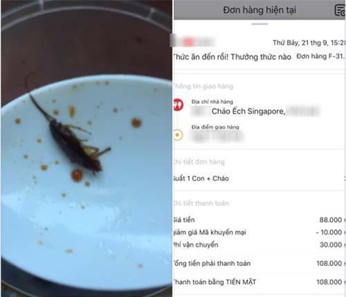 Dân mạng thương xót khổ chủ ăn hết bát cháo ếch mới phát hiện được "khuyễn mãi" thêm con gián