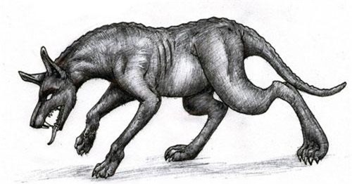 Sự thật về quỷ hút máu Chupacabra