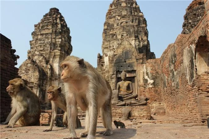 La lung ngoi den co luc nhuc khi o Thai Lan-Hinh-2