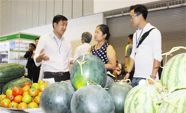 Noi-lo-nong-san-kho-tang-truon-7873-7176
