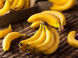Mua chuối cứ nhìn vào cuống thấy có điểm này, đảm bảo chọn được chuối chín cây không ủ thuốc