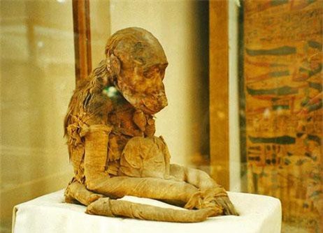 Khám phá xác ướp khỉ cực dị thời Ai Cập cổ đại