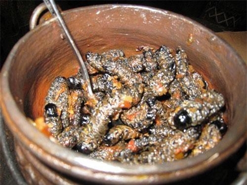 Con sâu gớm ghiếc ngoe nguẩy thành đặc sản ngon 14 triệu/kg