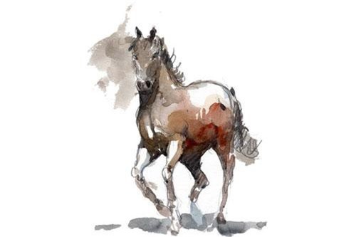 Trong số 12 con giáp, có 5 con giáp thường xuyên được quý nhân phù trợ, làm gì cũng suôn sẻ