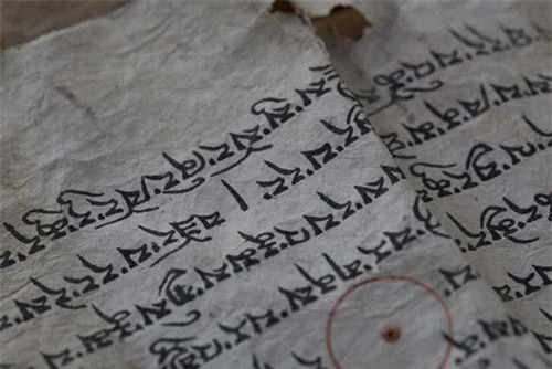 Bí mật loại giấy người Tây Tạng dùng để lưu chép kinh thư ngàn năm không mục nát