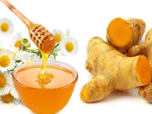 Những bài thuốc chữa đau dạ dày bằng nguyên liệu tự nhiên rẻ tiền bạn nên biết