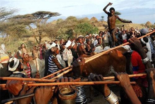 Phong tục kỳ lạ của bộ tộc đánh phụ nữ bằng những trận đòn roi, nam giới phải nhảy qua lưng bò