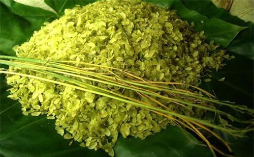 M&#xF3;n &#x103;n v&#x1EB7;t ngon n&#x1EE9;c ti&#x1EBF;ng nh&#x1EA5;t &#x111;&#x1ECB;nh ph&#x1EA3;i th&#x1EED; khi H&#xE0; N&#x1ED9;i v&#xE0;o thu