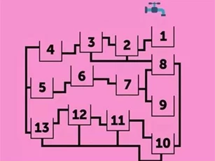 "Hoa mắt chóng mặt" với câu đố kiểm tra độ tinh mắt