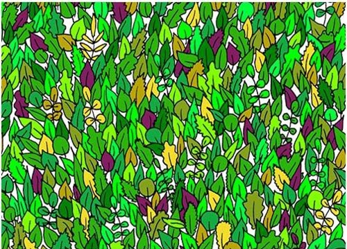 "Mờ mắt" vẫn không thể tìm ra đáp án đúng